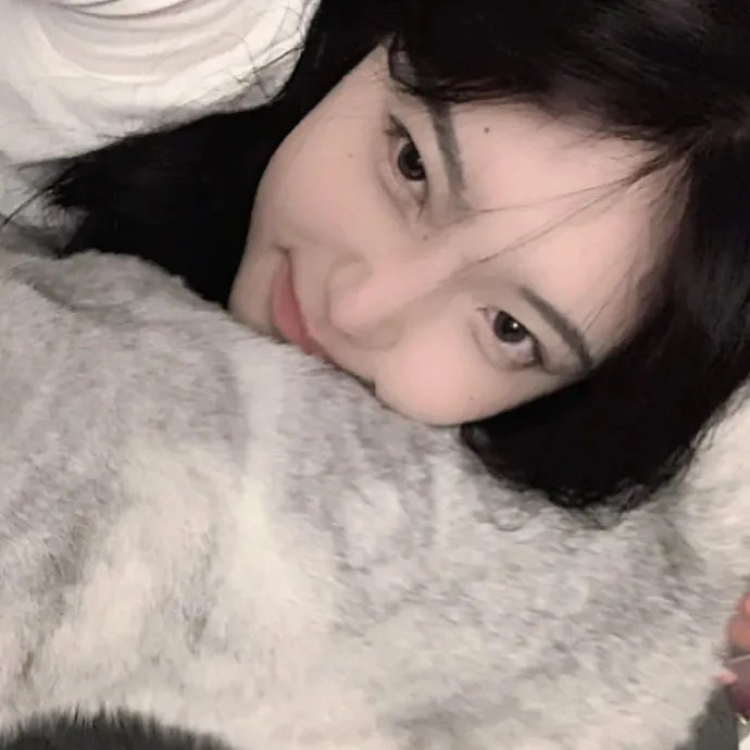 认识狗狗