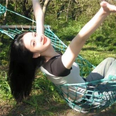 龟甲秘事之拨云见日